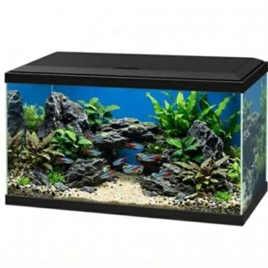 Love Aquatics 60L LED Glass Aquarium Kit
