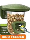Mess-Free Outdoor Bird Feeder for Small Birds