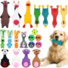 MSYU 20 Pack Interactive Squeaky Dog Toys