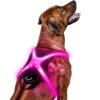 Multicolor LED Dog Harness with Rechargeable Battery