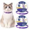 MYRLOFT Adjustable Waterproof Cat Collar 2-Pack
