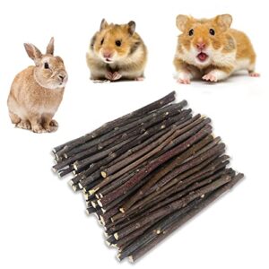 Natural Apple Chew Sticks for Small Pets