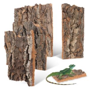 Natural Cork Bark Decor for Reptile Habitats