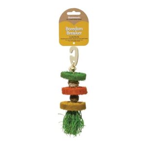 Natural Loofa Hoola Toy for Small Pets