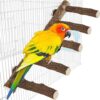 Birdcage Ladders