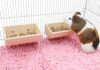 Natural Pine Animal Feeder Bowl - 2 Pack