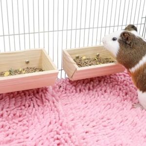 Natural Pine Animal Feeder Bowl - 2 Pack