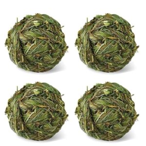 Natural Timothy Grass Chew Toy Bundle