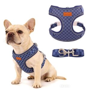 No-Pull Small Dog & Cat Harness Set