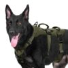 OneTigris Escape Proof Dog Harness