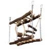 Pet Ting Natural Suspension Bridge Toy
