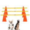 Portable Dog Agility Training Equipment Set