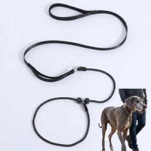 QLK 1.7m Adjustable Dog Slip Lead