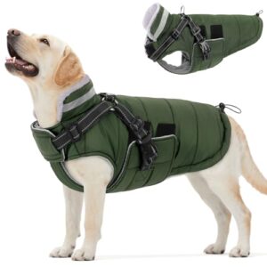 Queenmore Waterproof Puffer Coat for Dogs