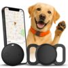 Real Time Dog Tracker for iOS Devices
