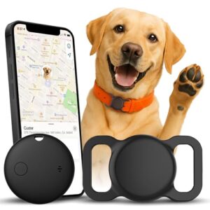 Real Time Dog Tracker for iOS Devices
