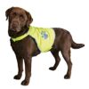 Dog Safety Vests