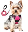 Reflective No-Pull Dog Harness and Lead