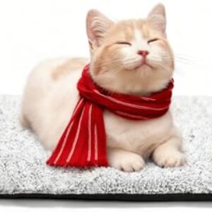 Self Heating Washable Cat Bed for Indoor Cats