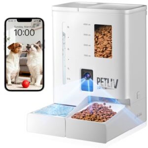 Smart Automatic Cat Feeder with HD Camera