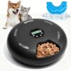 Smart Automatic Cat Food Dispenser