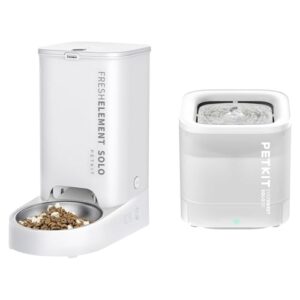 Smart Automatic Pet Feeder and Water Fountain
