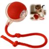 Smart Interactive Cat and Dog Toy Ball