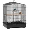 Spacious Black Bird Cage for Small Birds