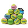 SPORTSPET Mini Squeak Tennis Balls for Dogs