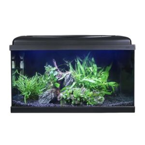 Swell 60cm Tropical Freshwater Fish Tank Kit