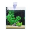 Aquarium Starter Kits