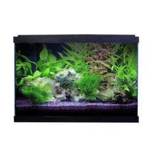 Swell Premium 62cm Tropical Aquarium Kit