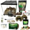 Terrarium Pro Kit for Snail Care
