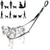 Tiesenci Dual Control Hands-Free Dog Lead
