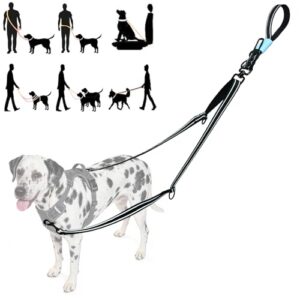 Tiesenci Dual Control Hands-Free Dog Lead