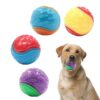 Ulmervion 4-Pack Squeaky Dog Balls