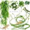 Versatile Reptile Habitat Accessories Set