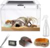 Versatile Reptile Terrarium with Accessories