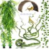 Versatile Terrarium Accessories for Reptiles