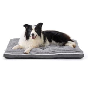 VoltaEcho Medium Dog Bed - Grey