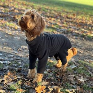 Weather-Resistant Soft Fleece Dog Jumper