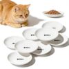 Whisker-Friendly Ceramic Cat Bowls - 8 Pack