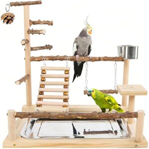 Wooden Bird Playground with Feeder & Swing