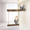 Wooden Bird Swing Perch Toy for Parrots