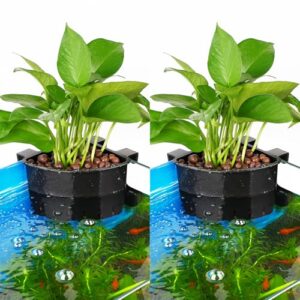 Aquarium Corner Planter Holder - 2 Pack