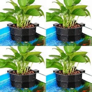 Aquarium Corner Planter Holder for Aquascapes
