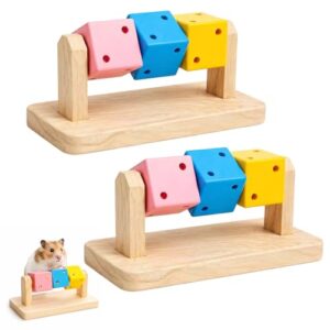 Colorful Wooden Chew Toys for Hamsters