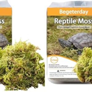 Natural Reptile Moss for Humidity Control