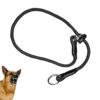55cm Adjustable Slip Collar for Dogs
