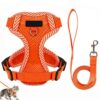 Adjustable Escape Proof Cat Harness and Leash
